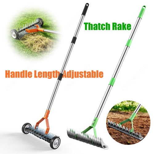Lawn thatch and moss - lawn,