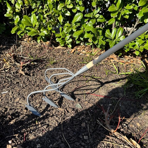 Prong hand scarifier - prong,